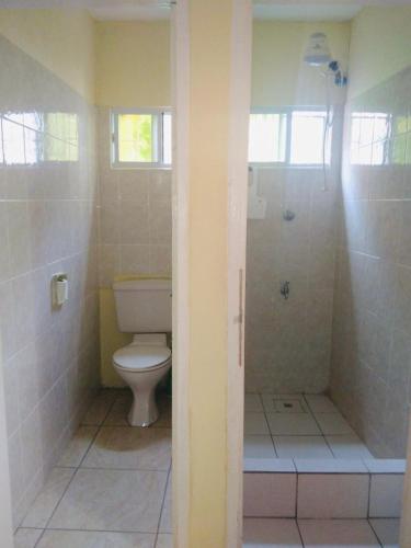 a bathroom with a toilet and a shower at Orange Building 2 in Saint Georges in Saint Georgeʼs