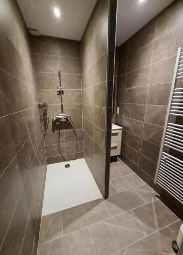 une salle de bain avec douche et lavabo dans l'établissement La Sauvagine, à Villemurlin