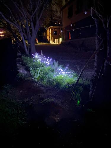 a garden with blue lights in the dark at Old Byurakan Cottage in Byurakan