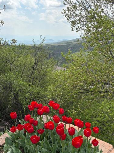 a group of red tulips in a garden at Old Byurakan Cottage in Byurakan