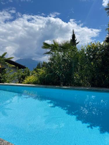 a blue swimming pool in front of a house at Sete Fontes - Agarone Holiday Nest in Agarone
