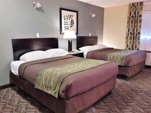 Кровать или кровати в номере Lacombe Motor Inn