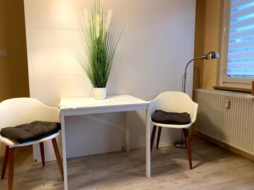 - une table avec deux chaises et une plante en pot dans l'établissement Superb studio with free parking on site, à Mulhouse