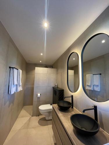 a bathroom with a sink and a toilet and mirrors at Studio 137 in Zwaag