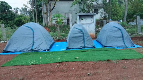 耶拉吉里Dr KGS Nature Stays and Camping Tents的相册照片