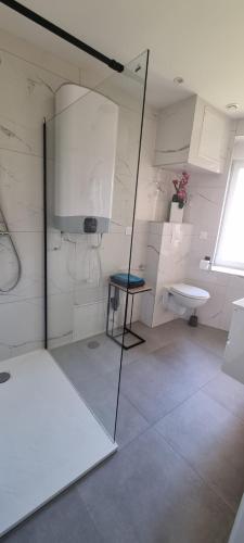 un bagno con doccia, lavandino e WC di Magnifique studio meublé a Valdoie