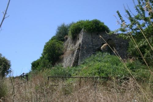 a large hill with grass and bushes on it at B&B IL VECCHIO GELSO in Palinuro