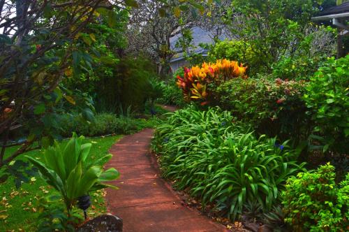 Gallery image of Banyan Tree B&B Retreat in Makawao