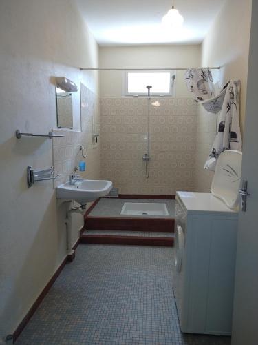 une salle de bain avec un lavabo, une douche et des toilettes dans l'établissement Appartement 2 à Regino Speloncato pour 3 personnes, à Speloncato