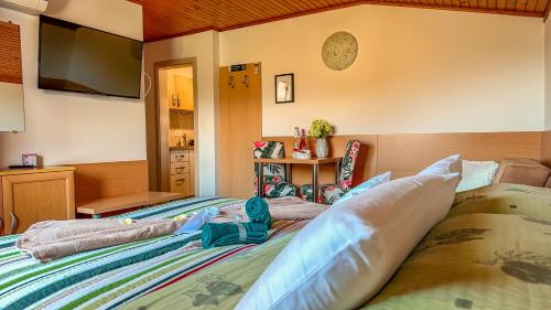 TV a/nebo společenská místnost v ubytování Bled Vista Apartments