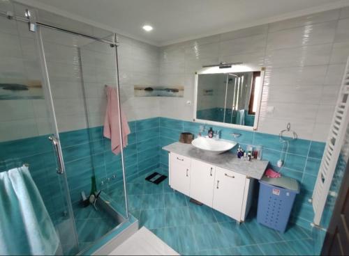 Bilik mandi di Village House Gracac