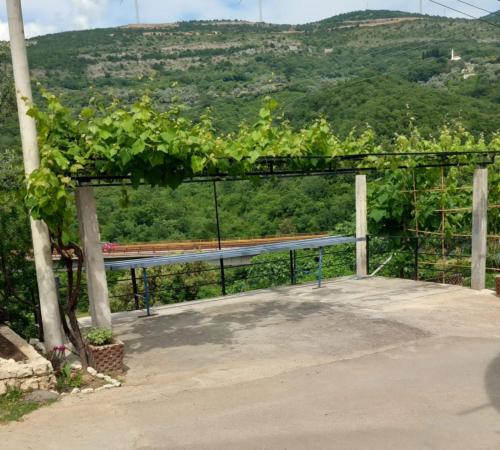 a bench with a bunch of vines on a hill at Villa Miki in Kruče