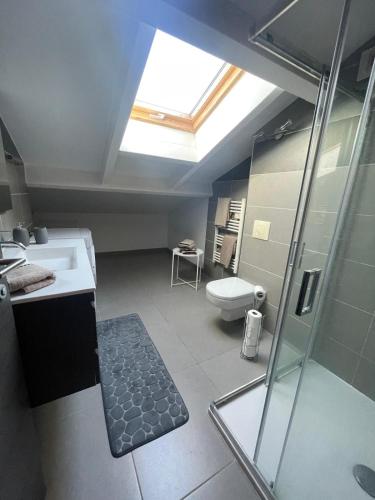 La salle de bains est pourvue d'une douche, de toilettes et d'une lucarne. dans l'établissement Apartment Propriano, Corsica, à Propriano