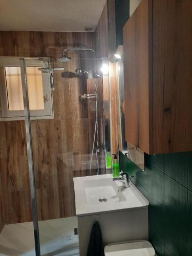 une salle de bain avec un lavabo et une douche dans l'établissement Maison à Marseillan plage, à Marseillan