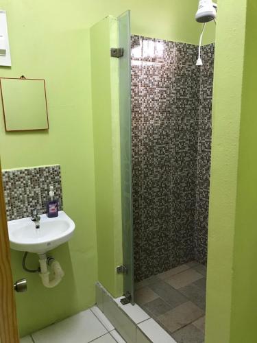 a bathroom with a sink and a shower at 2 Bedroom Ocean View Apartment in Gouyave, Grenada in Gouyave