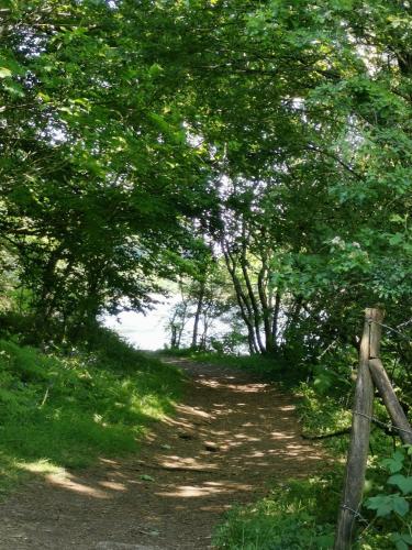 a dirt trail with trees and a wooden fence at the Nook, Romantic cottage for two, Dartmoor and SW coast in Bovey Tracey