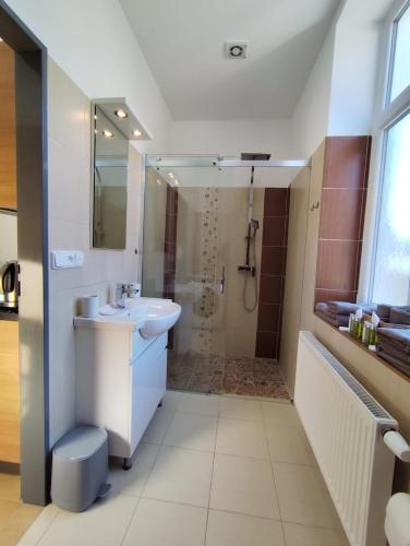 a bathroom with a white sink and a shower at Apartmán u lázní in Lipova Lazne