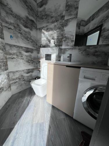 エレバンにあるWhite Villaのトイレと洗濯機付きのバスルーム