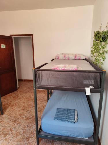 a bunk bed in a room with a blue mattress at Hostel Banana Surf House in Los Cristianos
