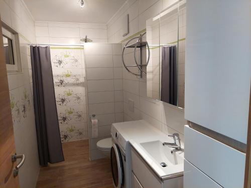 a bathroom with a sink and a toilet at Biohof Meyerhofer in Arbesbach