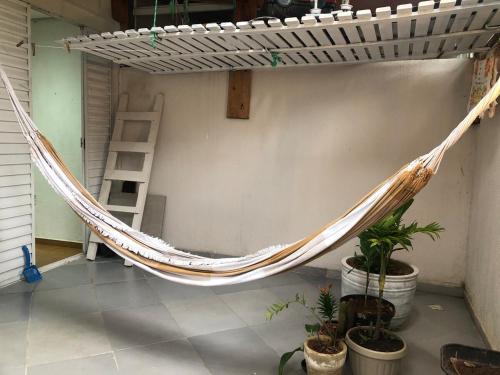 a hammock in a room with potted plants at São Francisco Apartment in Taboão da Serra
