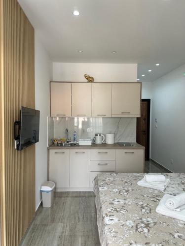 Kuchyň nebo kuchyňský kout v ubytování AS apartmani