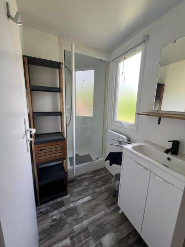 une salle de bain avec un lavabo, des toilettes et une douche dans l'établissement 421 Mobil home domaine de la forge, à La Teste-de-Buch