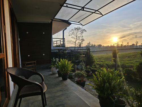 a patio with a chair and potted plants and the sunset at Green Valley Cabin Nuwara Eliya in Nuwara Eliya