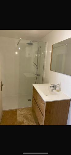 une salle de bain avec une douche, un lavabo et un miroir dans l'établissement Agnès, à Montagnac