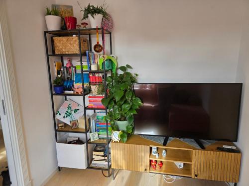 Foto dalla galleria di Cosy apartment a Lillehammer