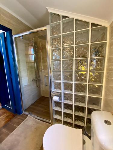 a bathroom with a shower and a toilet and a glass wall at Casa do Rei Aroeira in Charneca