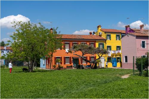 a person walking a dog in front of a group of houses at TIFFANY GOLD in Burano