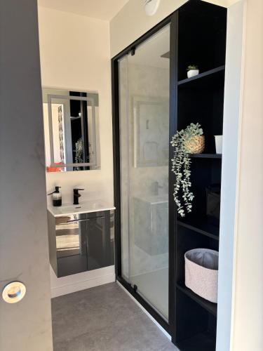 une salle de bain avec une douche en verre et un lavabo dans l'établissement Maison cosy proche Rennes, à La Mézière