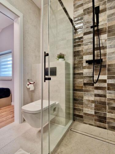 a bathroom with a toilet and a glass shower at Pod Dębową Koroną in Kazimierz Dolny