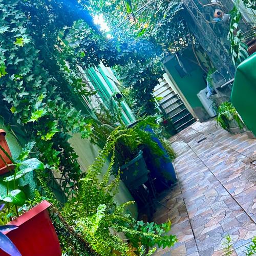 Zahrada ubytování habitación acogedora, con terraza verde!