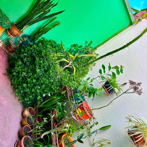 Zahrada ubytování habitación acogedora, con terraza verde!