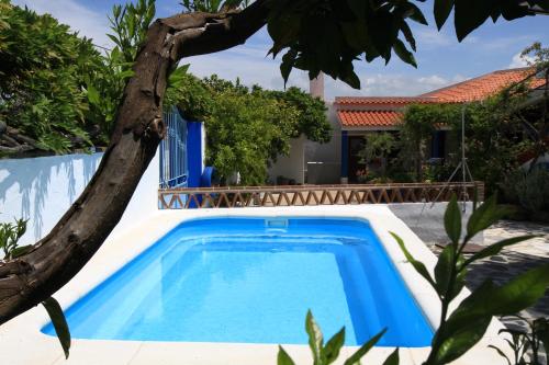 a swimming pool in front of a house at Casa dos Avós in Monsaraz