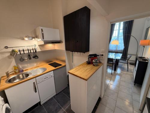 Il comprend une petite cuisine avec un évier et un comptoir. dans l'établissement Appartement RDC avec parking en intra-muros, à Avignon
