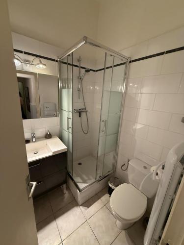 une salle de bain avec une douche, des toilettes et un lavabo dans l'établissement Appartement RDC avec parking en intra-muros, à Avignon