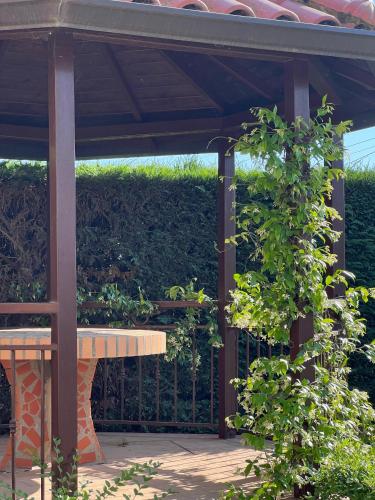 a wooden pergola with a wooden bench in a garden at VilaHasa in Tërbuf