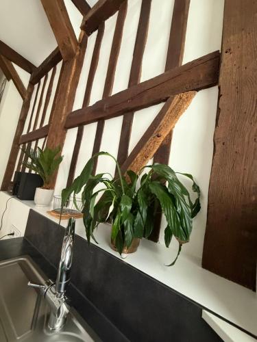 a sink with plants on a counter next to a window at Maison de charme au cœur de Saint Valéry sur Somme in Saint-Valery-sur-Somme