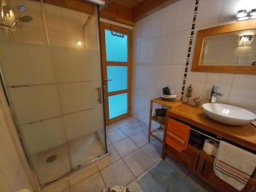 un bagno con doccia e lavandino di Bâtisse Ardechoise avec piscine a Saint-Prix