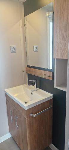 une salle de bain avec un lavabo et un miroir dans l'établissement Mobil home élégant tout équipé et Wifi, 15mn de la plage à pied, à Capbreton