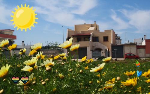 a field of yellow flowers in front of a house at B&b La lumaca in Torchiarolo