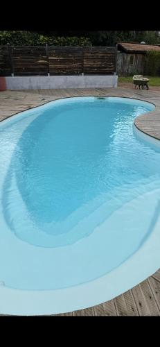 une grande piscine avec de l'eau bleue dans une cour dans l'établissement Villa Marine de Solaro, à Solaro