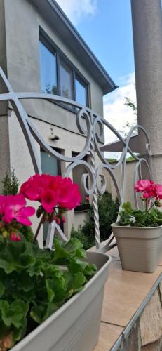 a balcony with flowers and plants in pots at Lux GUEST HOUSЕ МUKACHEVO in Mukacheve