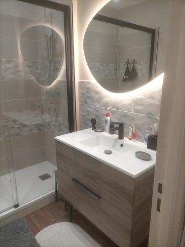une salle de bain avec un lavabo et une douche avec un miroir dans l'établissement logement centre ville, au Mans