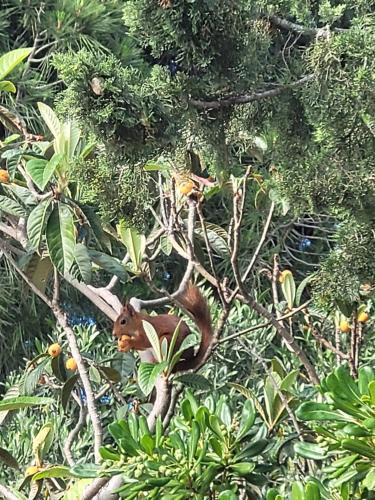 Villa Rasoa photo 57