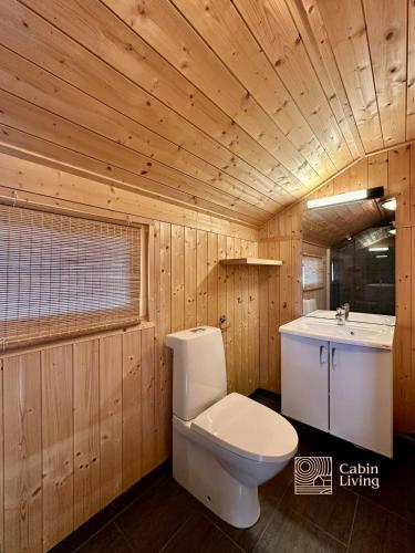 a bathroom with a toilet and a sink at Modern mountain cabin Ski in-out 2 Bathrooms in Ringsaker
