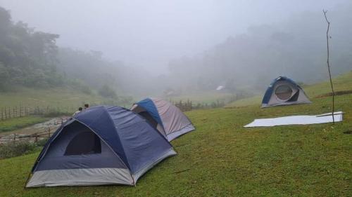 two tents on a field in the fog at Quế Homestay in Hòa Bình